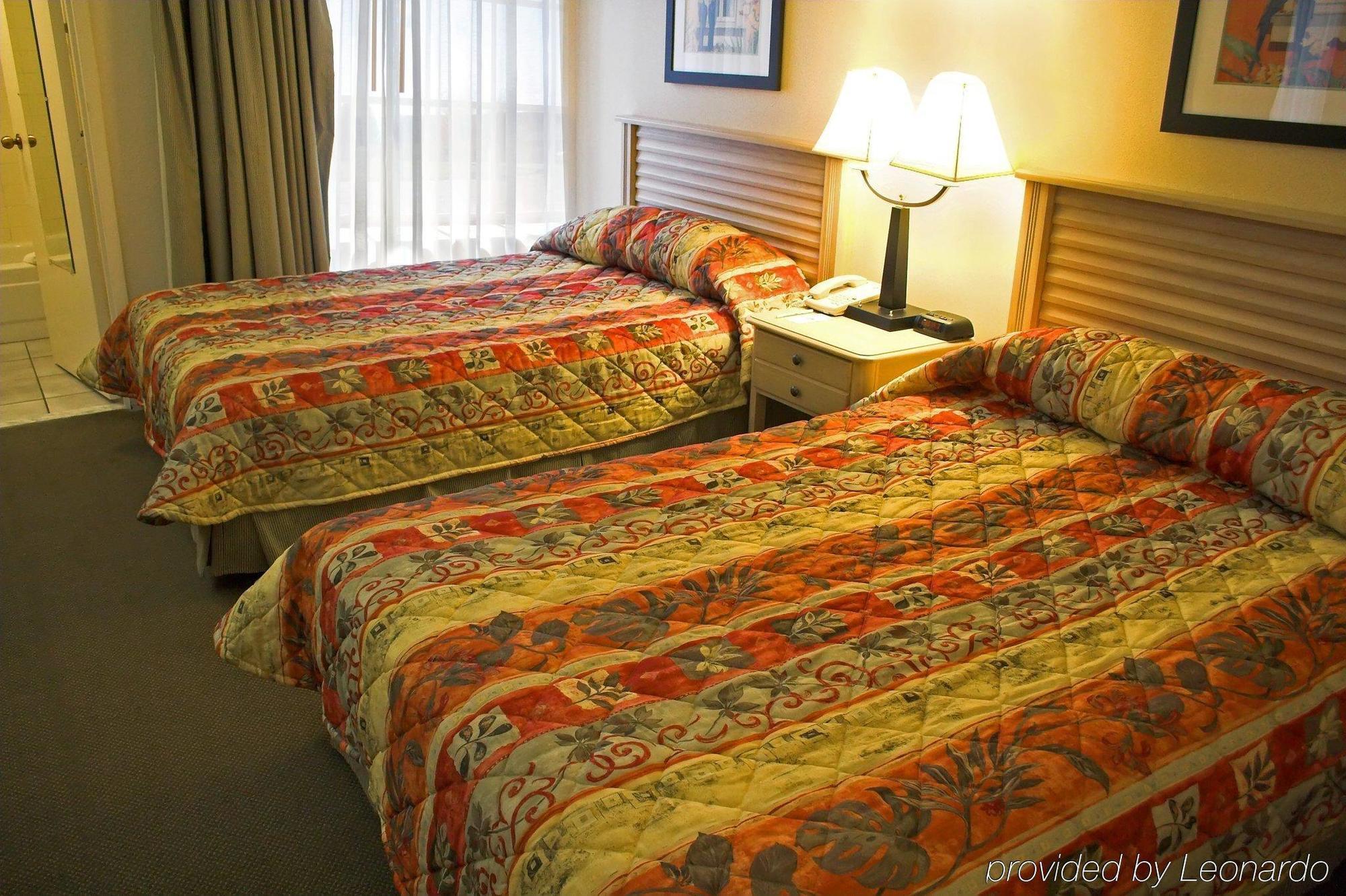 Baymont By Wyndham Tampa Near Busch Gardens Hotel Szoba fotó