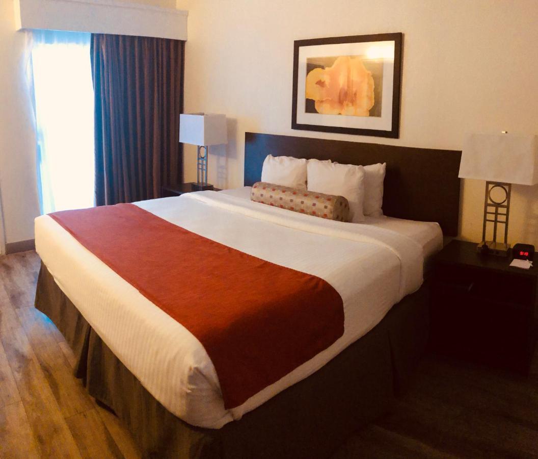 Baymont By Wyndham Tampa Near Busch Gardens Hotel Kültér fotó